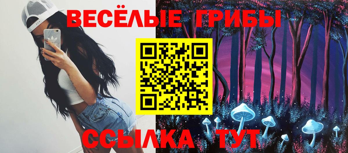 Хабаровск  Псилоцибиновые грибы GOLDEN TEACHER  Псилоцибиновые грибы прущие грибы  Вход с VPN 