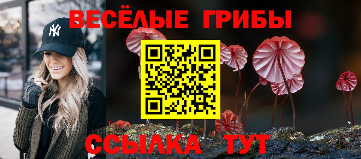 Галлюциногенные грибы Psilocybine cubensis Хабаровск